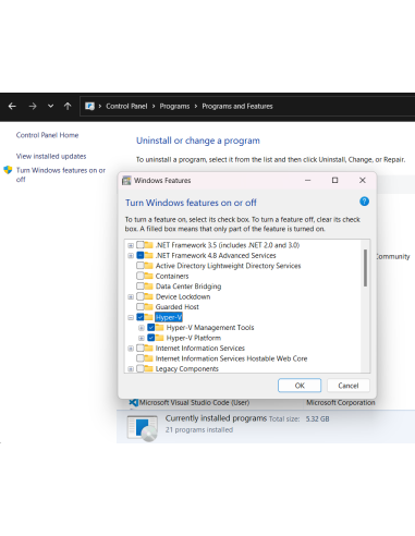 Cuadro Activar o desactivar las características de Windows con Hyper-V marcado