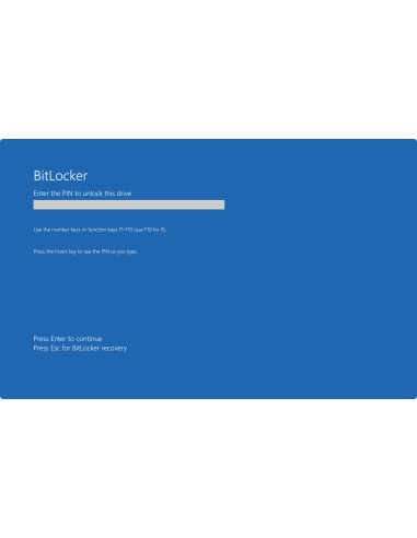 Windows 10 Enterprise LTSC: Pantalla previa al arranque de BitLocker que pide el PIN para desbloquear la unidad