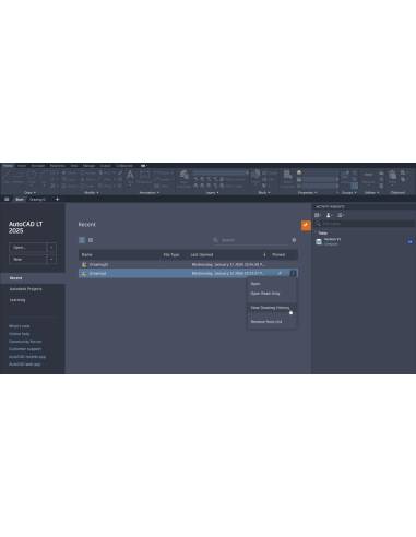 AutoCAD LT 2025: pestaña Inicio con el menú Ver historial del dibujo y la paleta Activity Insights