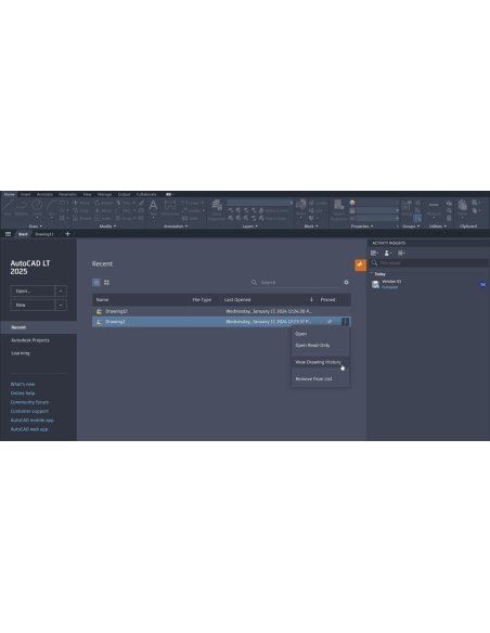 AutoCAD LT 2025: pestaña Inicio con el menú Ver historial del dibujo y la paleta Activity Insights